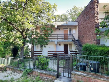 Káptalani Kiskuckó10