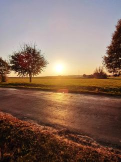 Somló Home Vendégház11