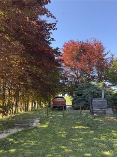 DunaWeekend Szilvia Apartman4
