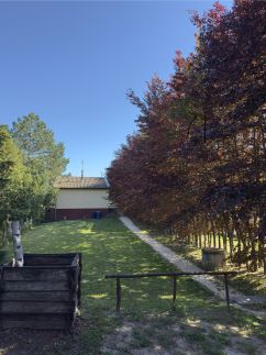 DunaWeekend Szilvia Apartman5