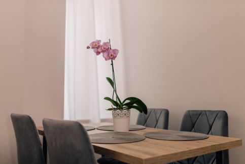 Lorey Home Apartman22
