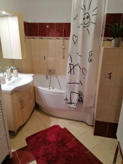 Joe Apartman6