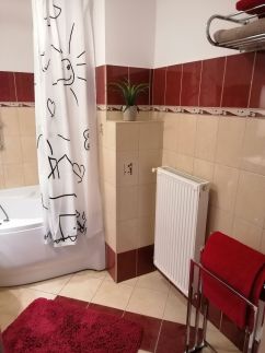 Joe Apartman7