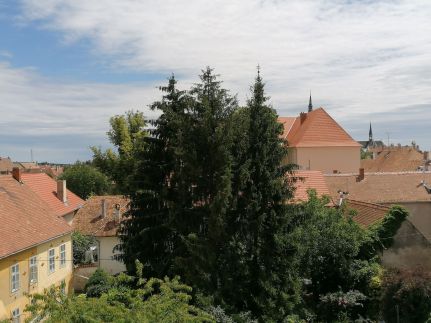 Joe Apartman5