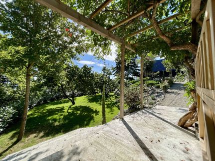 Black Pine Cabin23