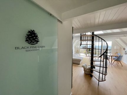 Black Pine Cabin6