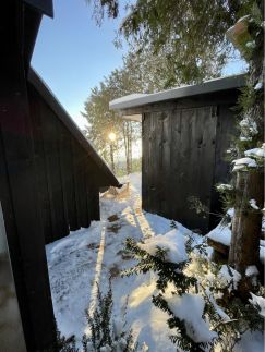 Black Pine Cabin1