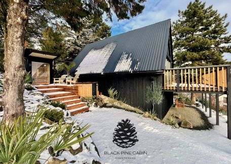 Black Pine Cabin2