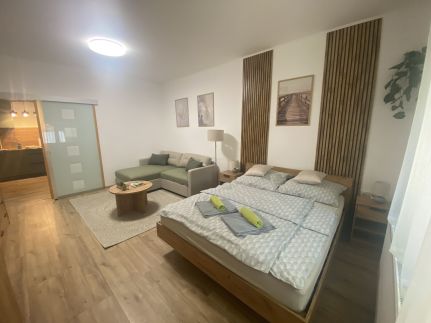 Andalics Apartman – Kaposvár fotó 7