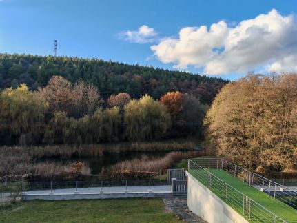 SzilvaHáz Apartman8