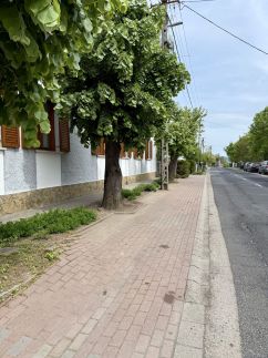 Kékkúti28
