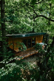 Woodhouses Noszvaj3