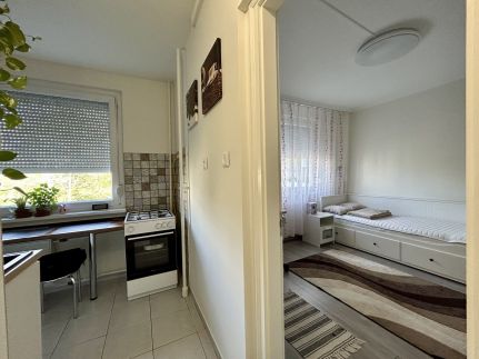 Tulipán Apartman5