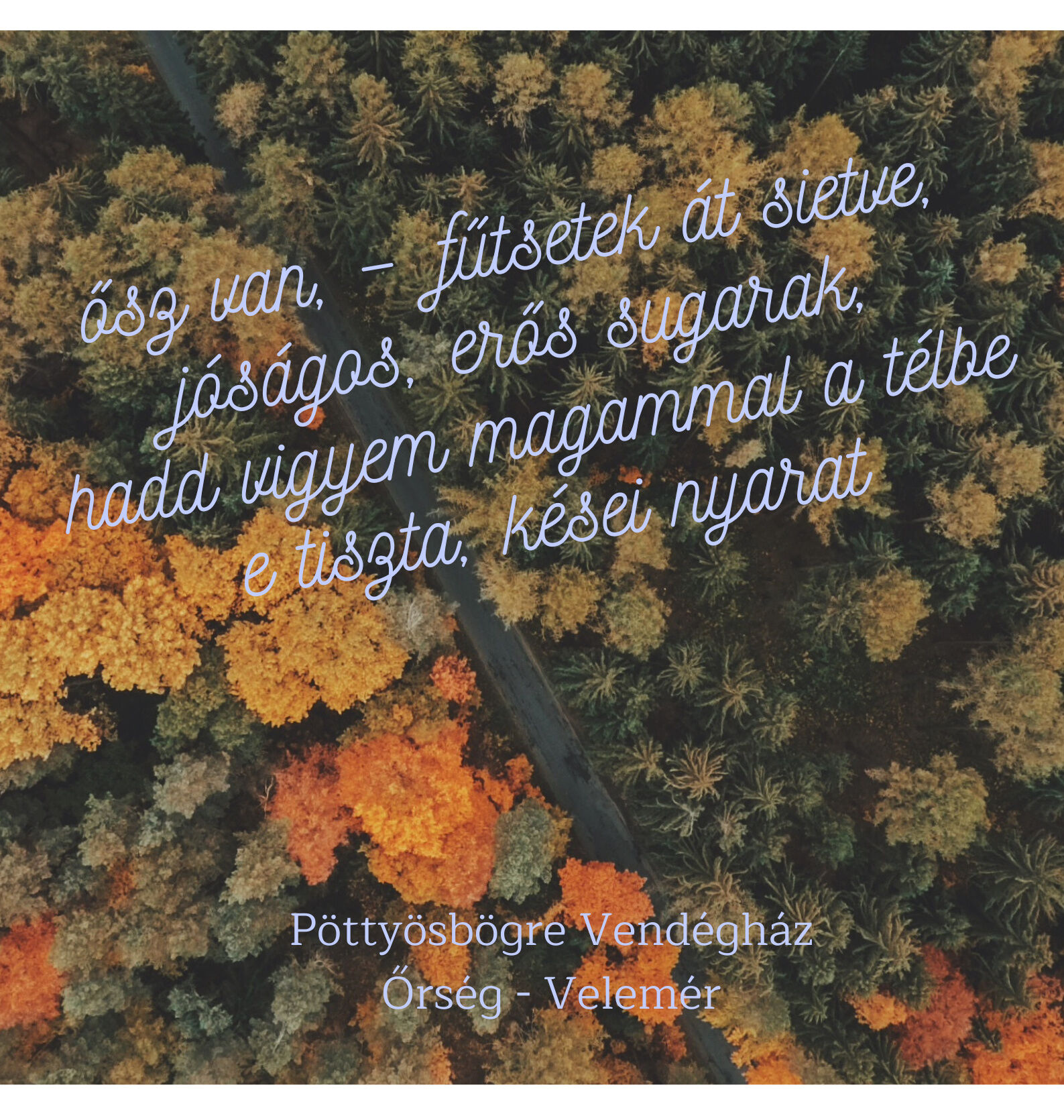Pöttyösbögre Vendégház – Velemér fotó 39
