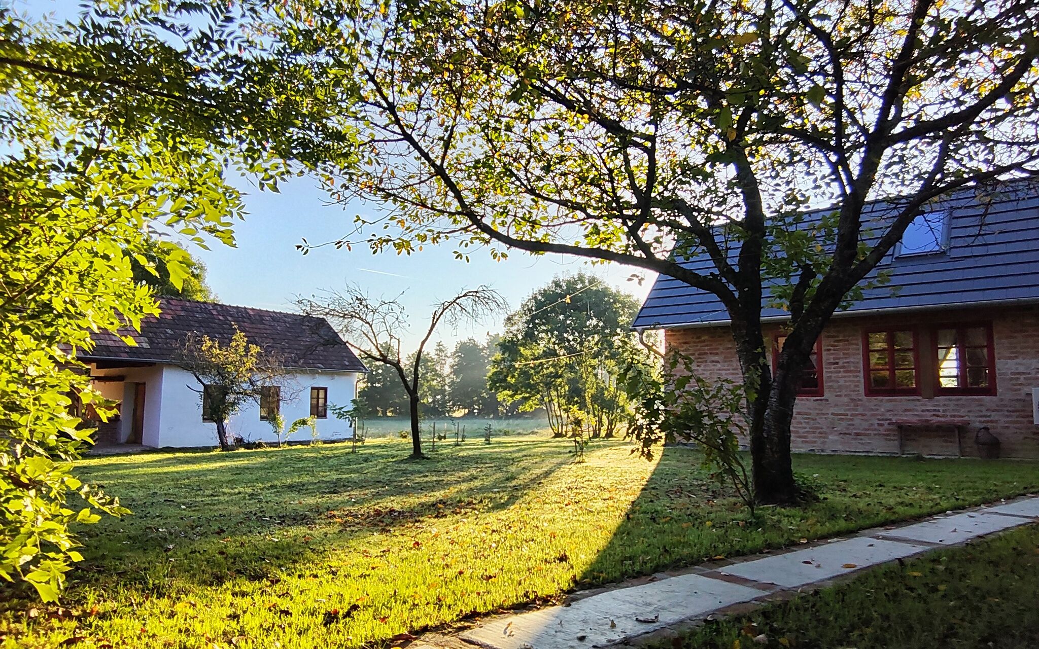 Pöttyösbögre Vendégház – Velemér fotó 56