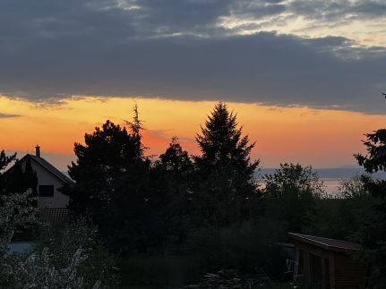 Pool & Chill Balaton Medencés Apartmanház14