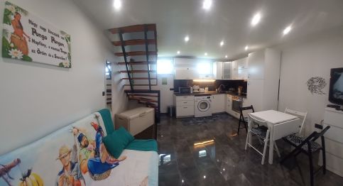 Pongo Pongo Apartman4