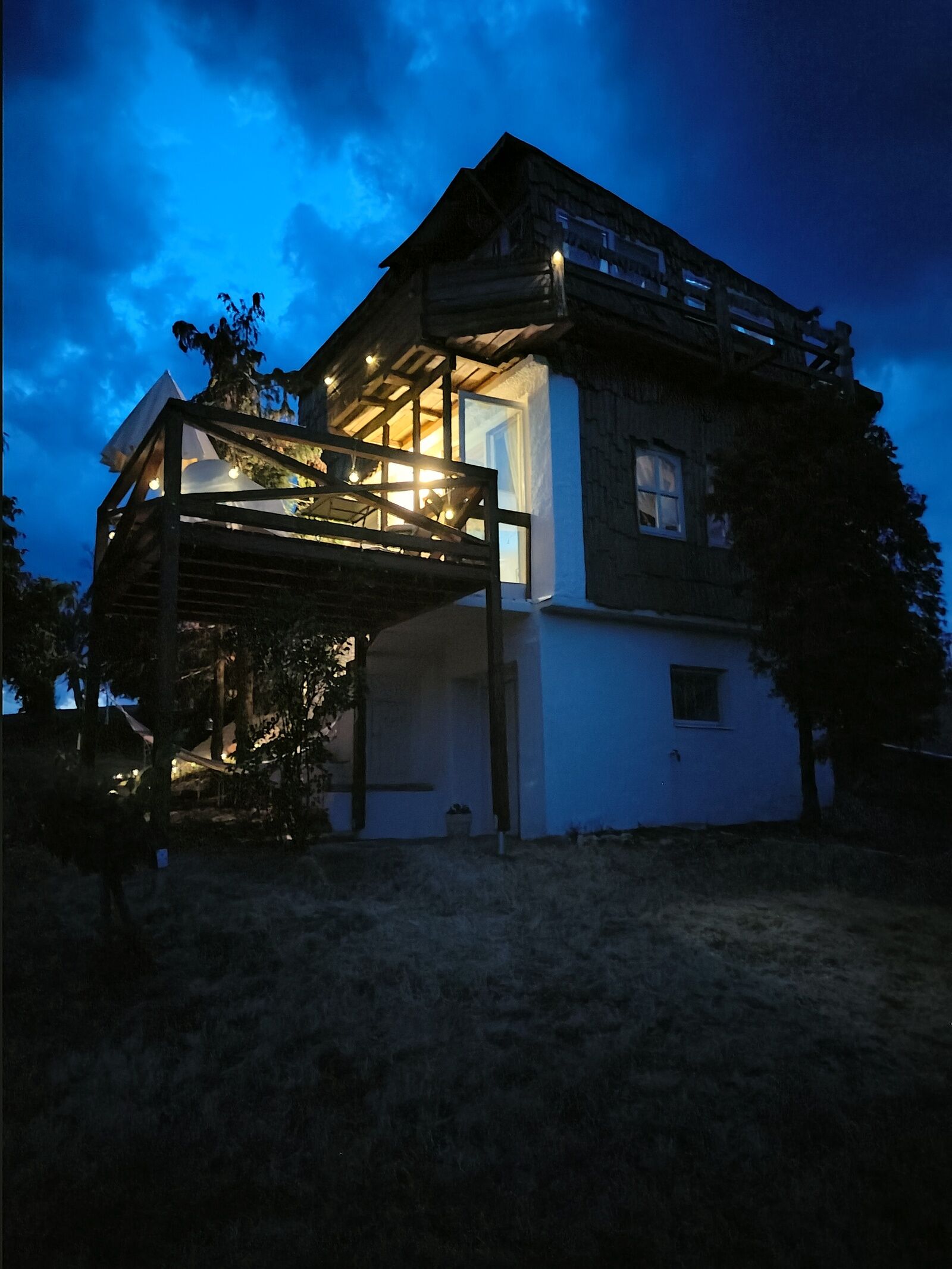 Lombfészek – Rezi fotó 43
