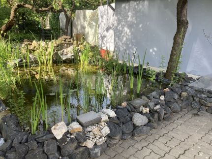 Relax Apartman Garden20