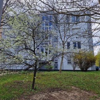 Digitális Detox Apartman3