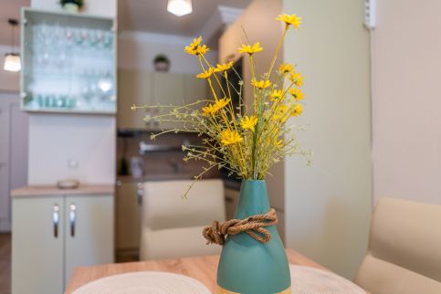 Dalma Apartman3
