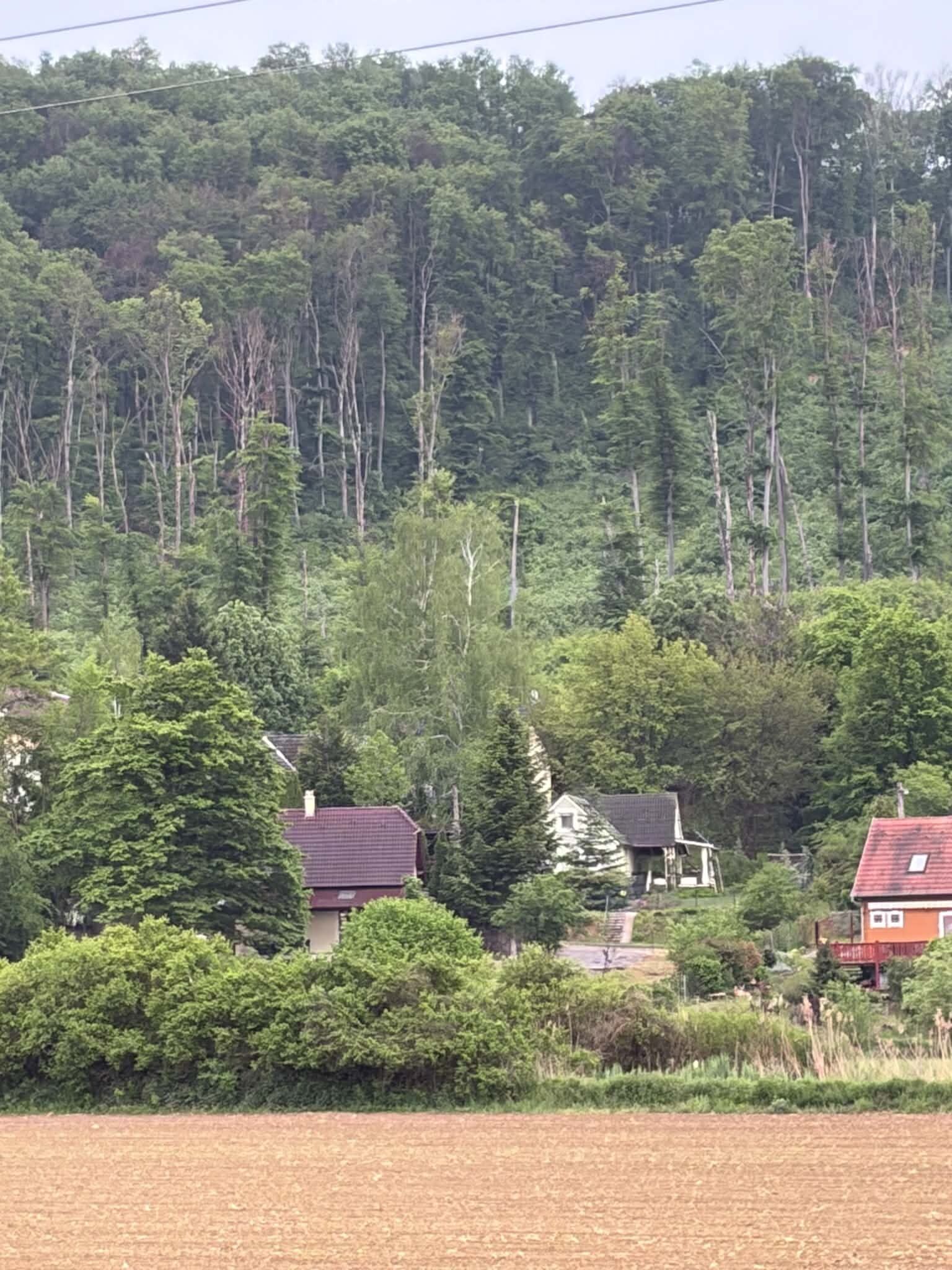 Schotthon Vendégház – Magyarhertelend fotó 1