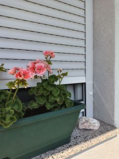 Vén Malom Apartman28