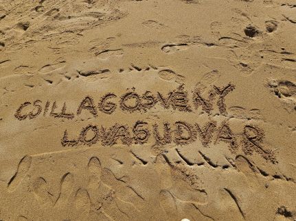 Csillagösvény Lovasudvar6