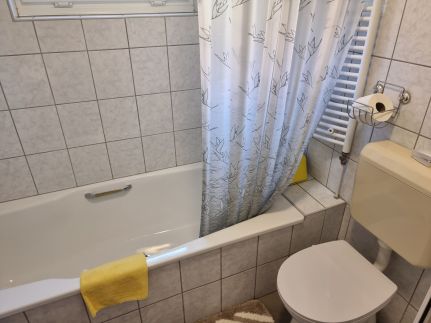 Mica Apartman3