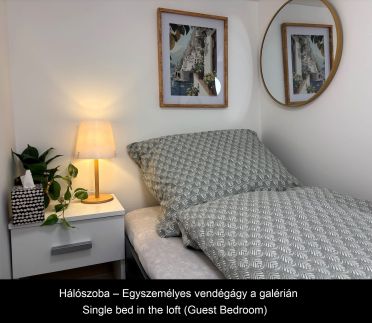 Dzsungel Home13
