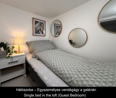Dzsungel Home15