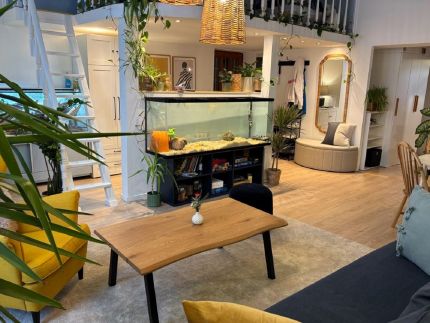 Dzsungel Home9