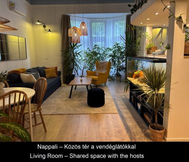 Dzsungel Home7