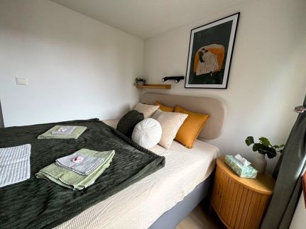 Dzsungel Home