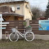Rsd-Tass