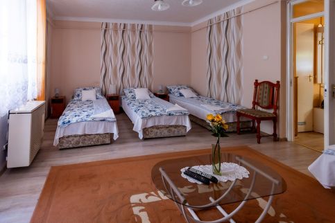 Kiss Apartman 313