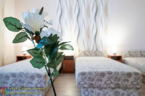 Kiss Apartman 38