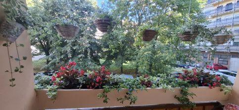 J+J Bazsarózsa Apartman14