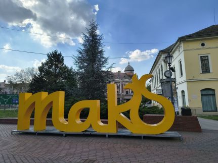 J+J Bazsarózsa Apartman15