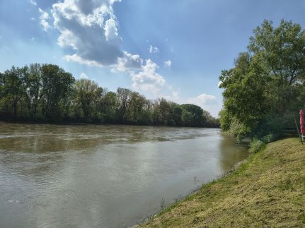 J+J Bazsarózsa Apartman21