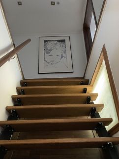 Páfrányház10