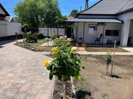 Rózsakert Apartman8