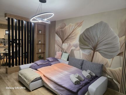 Pelso Wave Residence Platán Apartmanok3