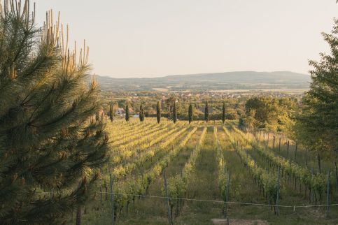 Villa Rustica Vendégház8