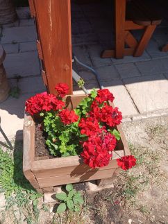 Muskátli Vendégház – Abádszalók fotó 4