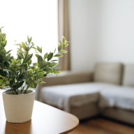 Árpád Nest Apartman