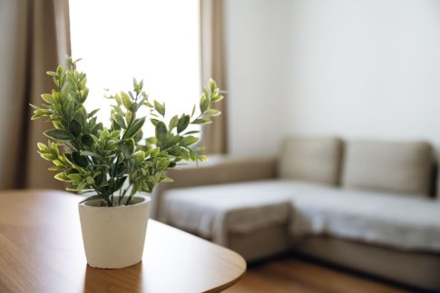Árpád Nest Apartman