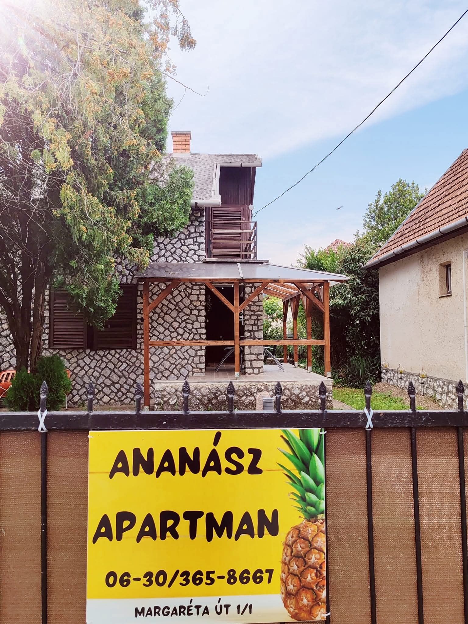 Ananász Apartman – Mezőkövesd
