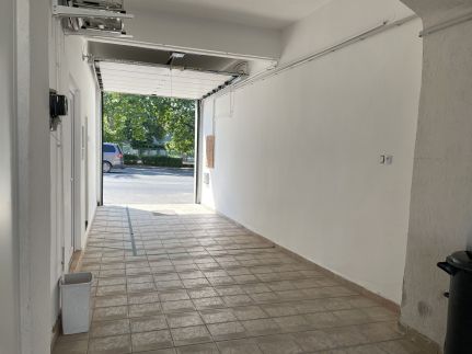 Apple Garden Studio6