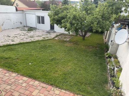 Apple Garden Studio3